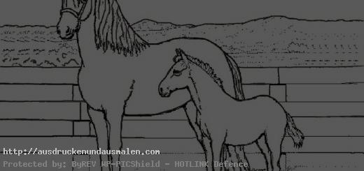 Pferd und Breeding