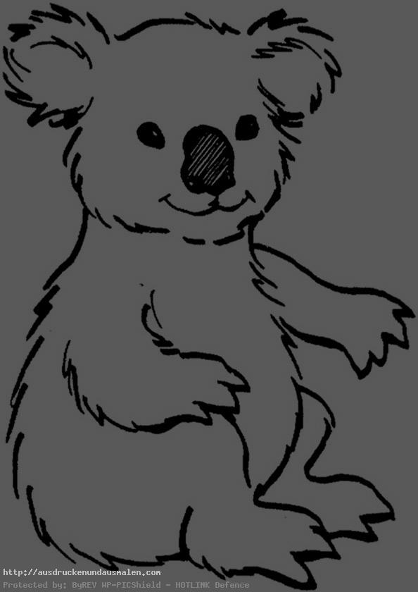 koala zum ausmalen